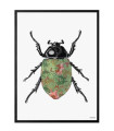 COLORED BEETLE  Quadretto 30X40 -  Vanilla Fly