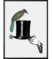 Poster Cornice Nera 20x25 - Hat With Bird  Vanilla Fly